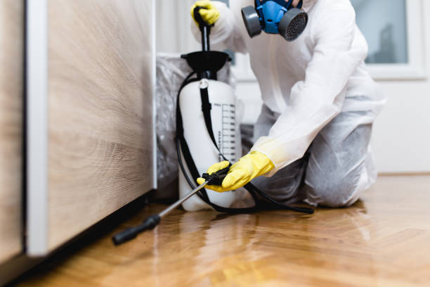 Best Affordable Pest Control Services  in Yorkville, NY
