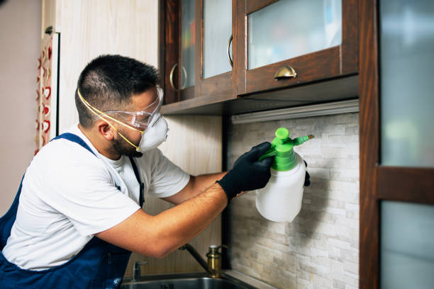 Best Pest Control for Restaurants  in Yorkville, NY