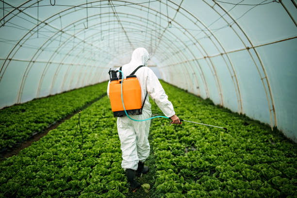 Professional Pest Control in Yorkville, NY