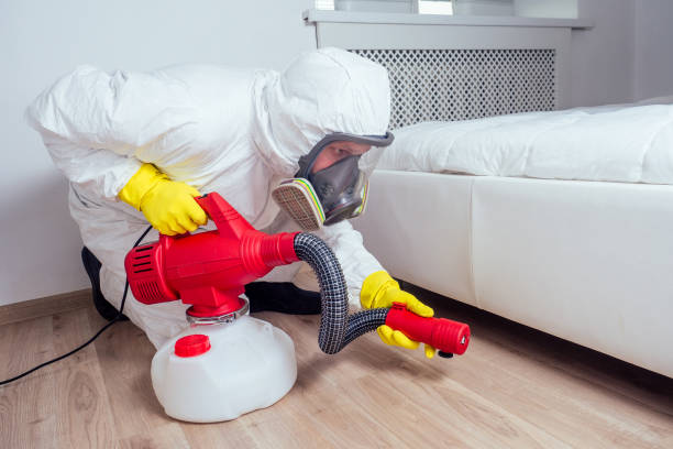 Best Wasp Removal Services  in Yorkville, NY