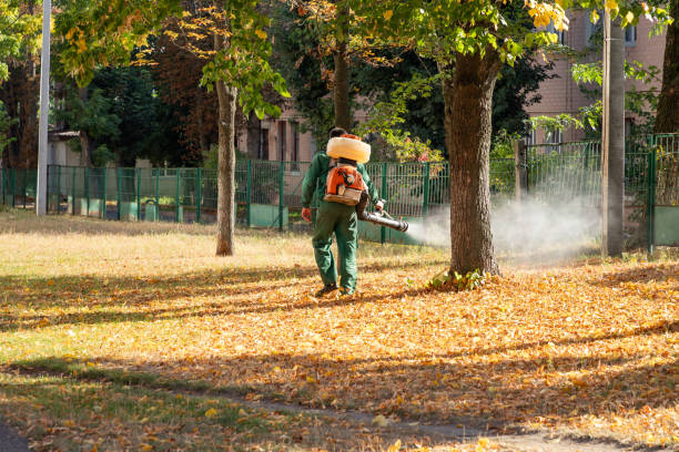 Best Exterminator Services  in Yorkville, NY