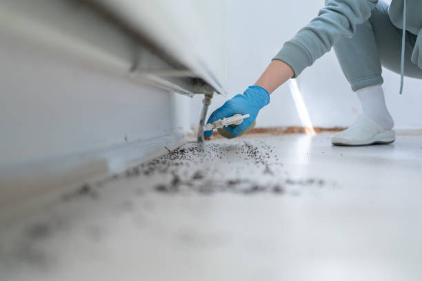Best Commercial Pest Control Services  in Yorkville, NY